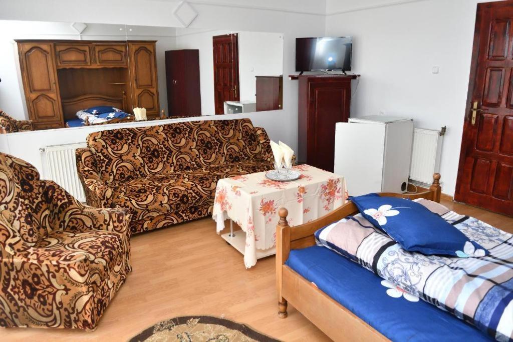 Casa Simescu I Vandrehjem Caransebeş Eksteriør billede